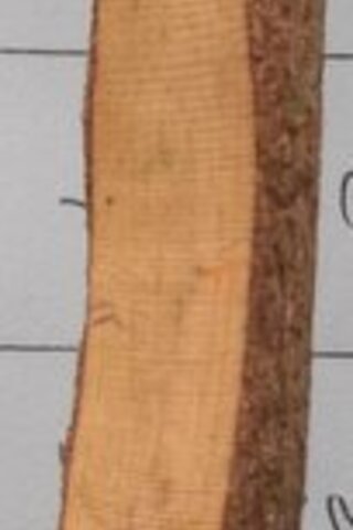 Hediyelik Tahta Kalem