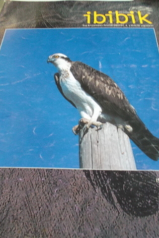 İbibik 2003 / 4