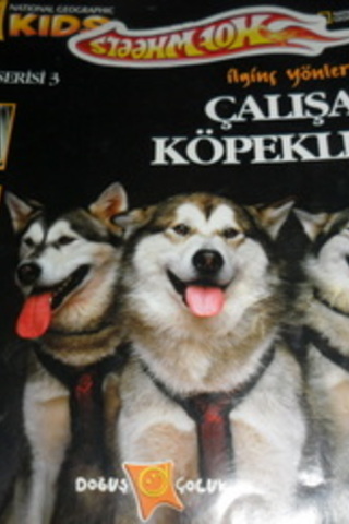 İlginç Yönleriyle Çalışan Kitaplar