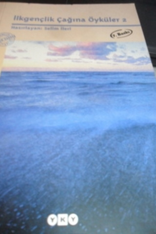 İlkgençlik Çağına Öyküler 2