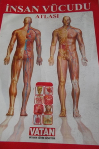 İnsan Vücudu Atlası