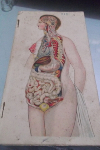 İnsan Vücudu Metaryali