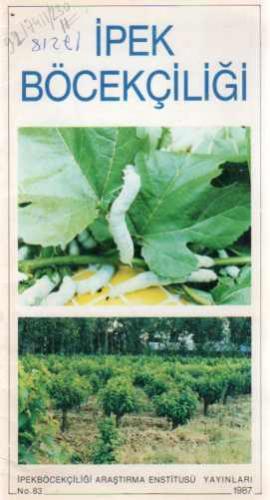 İpek Böcekçiliği