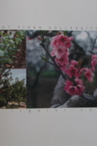 İrgeler Fidancılık 2006 / 07 İrgeler Fidancılık 2006 / 07