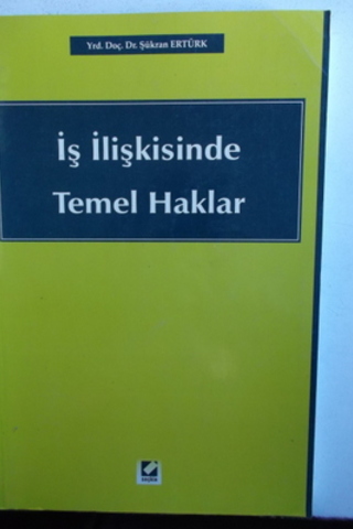 İş İlişkisinde Temel Haklar Şükran Ertürk