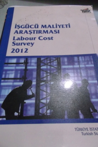 İşgücü Maliyeti Araştırması 2012