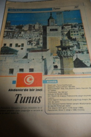 İslam Ülkeleri Ansiklopedisi ( Tunus )