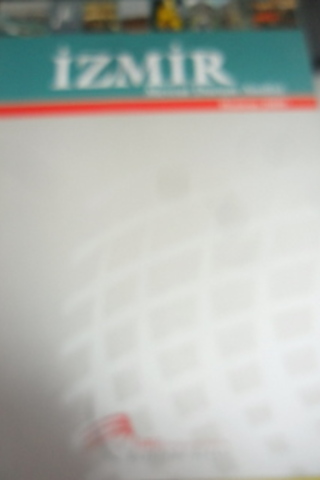 İzmir Mevcut Durum Analizi