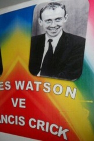 James Watson ve Francis Crick