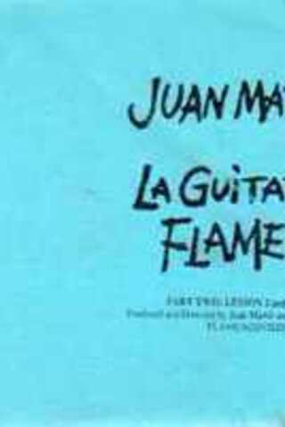 Juan Martin La Guitarra Flamenca
