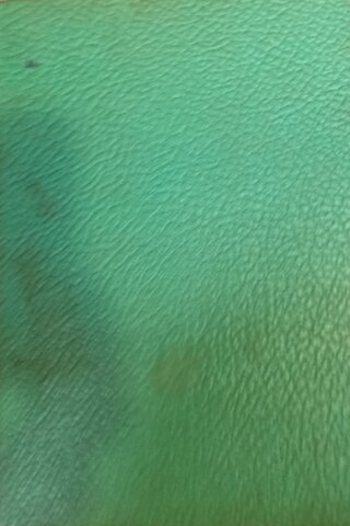 Kalbimin Sesi Barbara Cartland