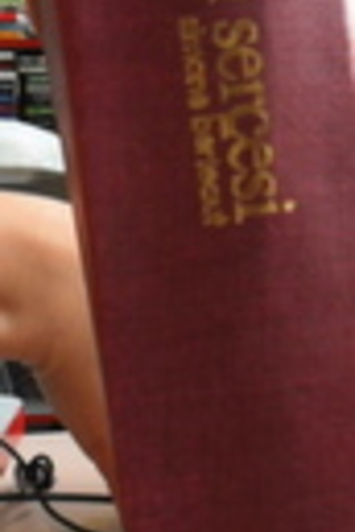 Kaldırım Serçesi Simone Berteaut