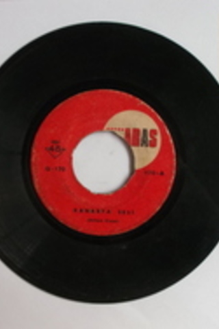 Kanarya Sesi / 45'lik PLAK