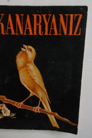 Kanaryanız