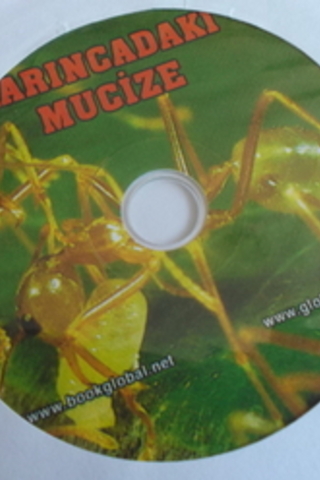 Karıncadaki Mucize