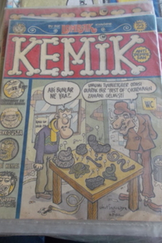 Kemik Sayı 22