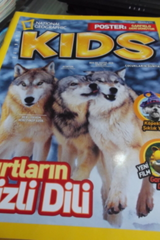 Kids 2007 / Kasım