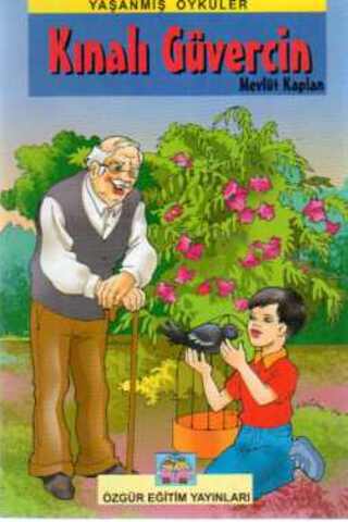 Kınalı Güvercin Mevlüt Kaplan