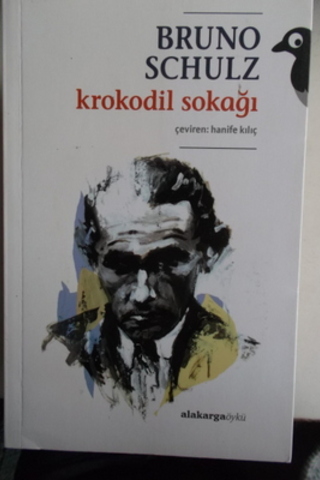 Krokodil Sokağı Bruno Schulz