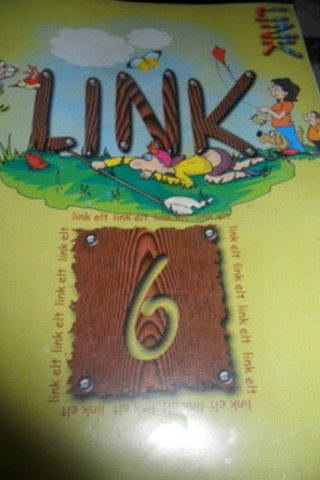 Link 6
