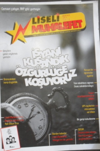 liseli muhalefet 2010/2