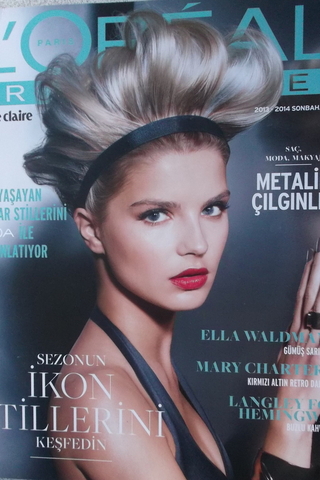 Loreal Professionel 2013-2014