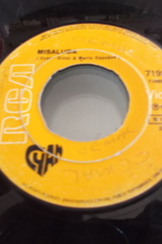 Louise / 45'lik Plak