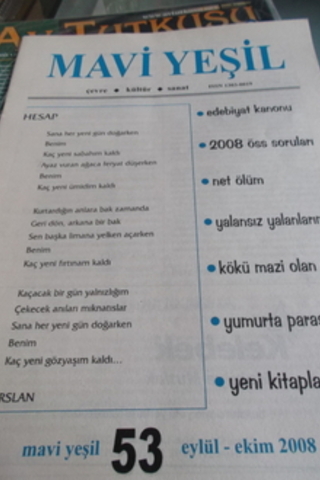 Mavi Yeşil 2008 / 53