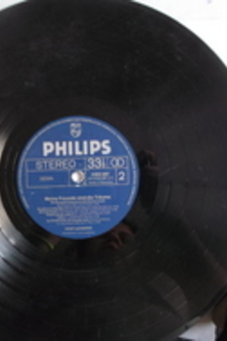 Meine Freunde Sind Die Traume / 33'lük PLAK