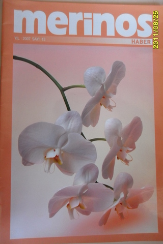 Merinos 2007/13
