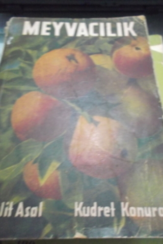 Meyvacılık Halit Asal