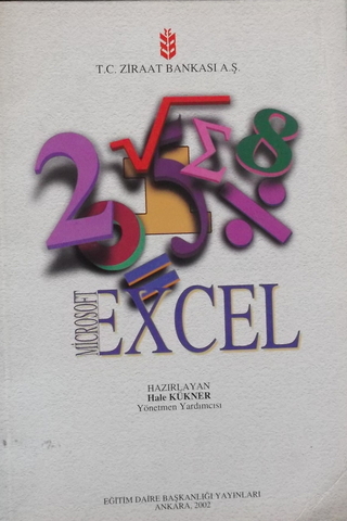 Microsoft Excel Hale Kükner