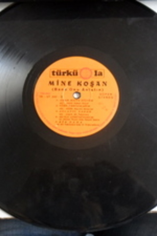 Mine Koşan / Bana Onu Anlatın
