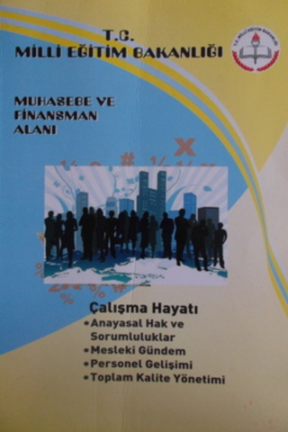Muhasebe ve Finansman Alanı Çalışma Hayatı