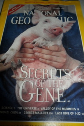 National Geographic 1999 / 196