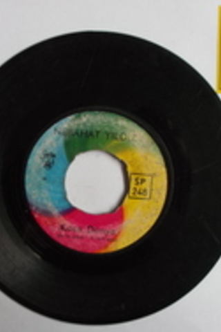 Nebahat Yıldız / 45'lik PLAK