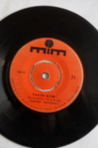 Nefise Özdemir / 45'lik PLAK