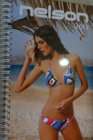 Nelson 2013 Nelson 2013