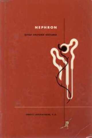 Nephron / Şeffaf Anatomik Kesitlerle Abbott Laboratories