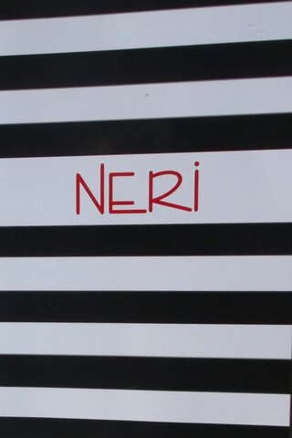 Neri 2013 Collectıon