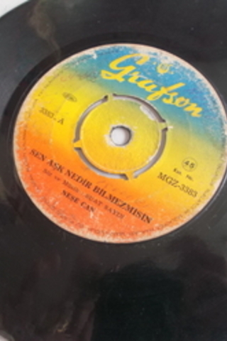 Neşe Can / 45'lik Plak