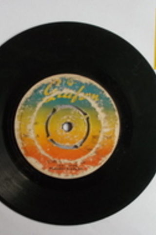 Nezahat Bayram / 45'lik PLAK