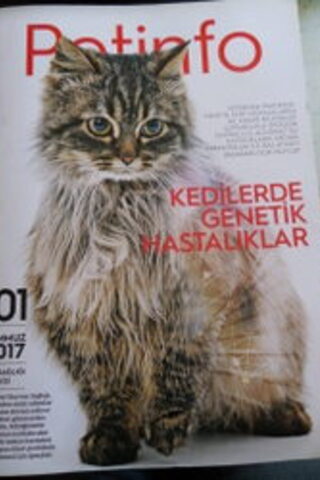Petinfo 2017 / 101