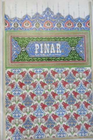 PINAR aylık kültür ve sanat dergisi 1976 / 50