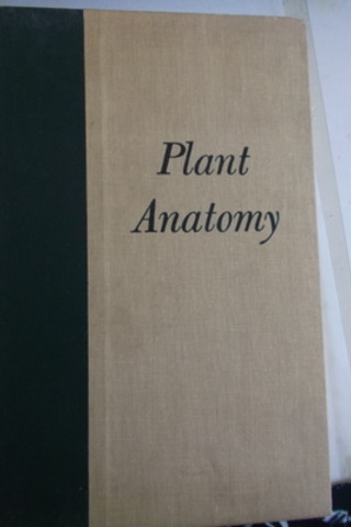 Plant Anatomy Katherine Esau