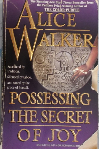Possessing The Secret Of Joy Alice Walker