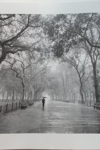 Poster / Manzara Resmi