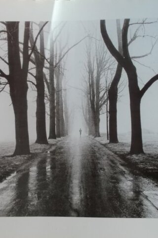 Poster / Manzara Resmi