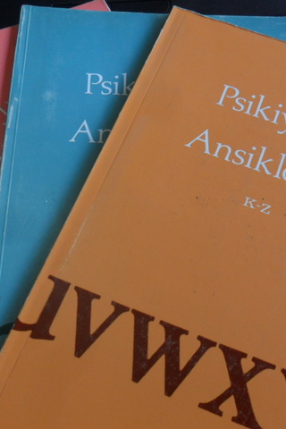 Psikiyatrik Ansiklopedi / 3 Adet