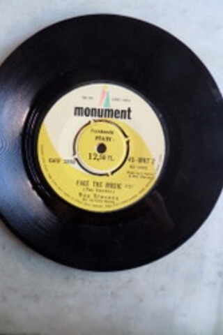 Ray Stevens / 45'lik PLAK